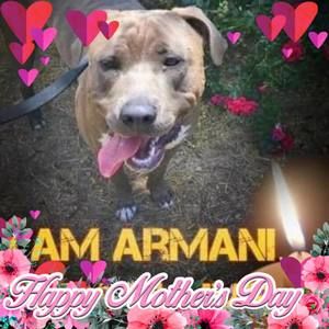 Meet your Posher, Joyce